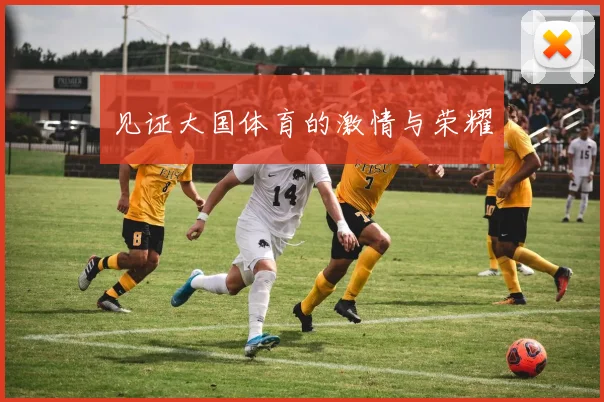 见证大国体育的激情与荣耀