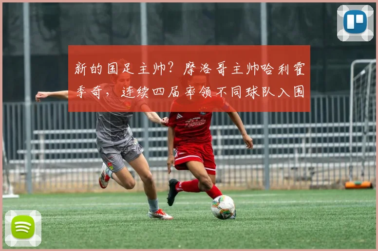 新的国足主帅？摩洛哥主帅哈利霍季奇，连续四届率领不同球队入围